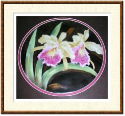 Click here for details or to order.