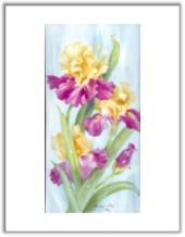 Click here for details or to order.