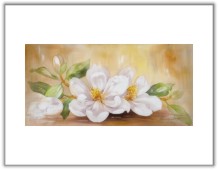 Click here for details or to order.