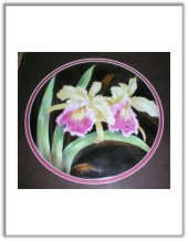 Click here for details or to order.